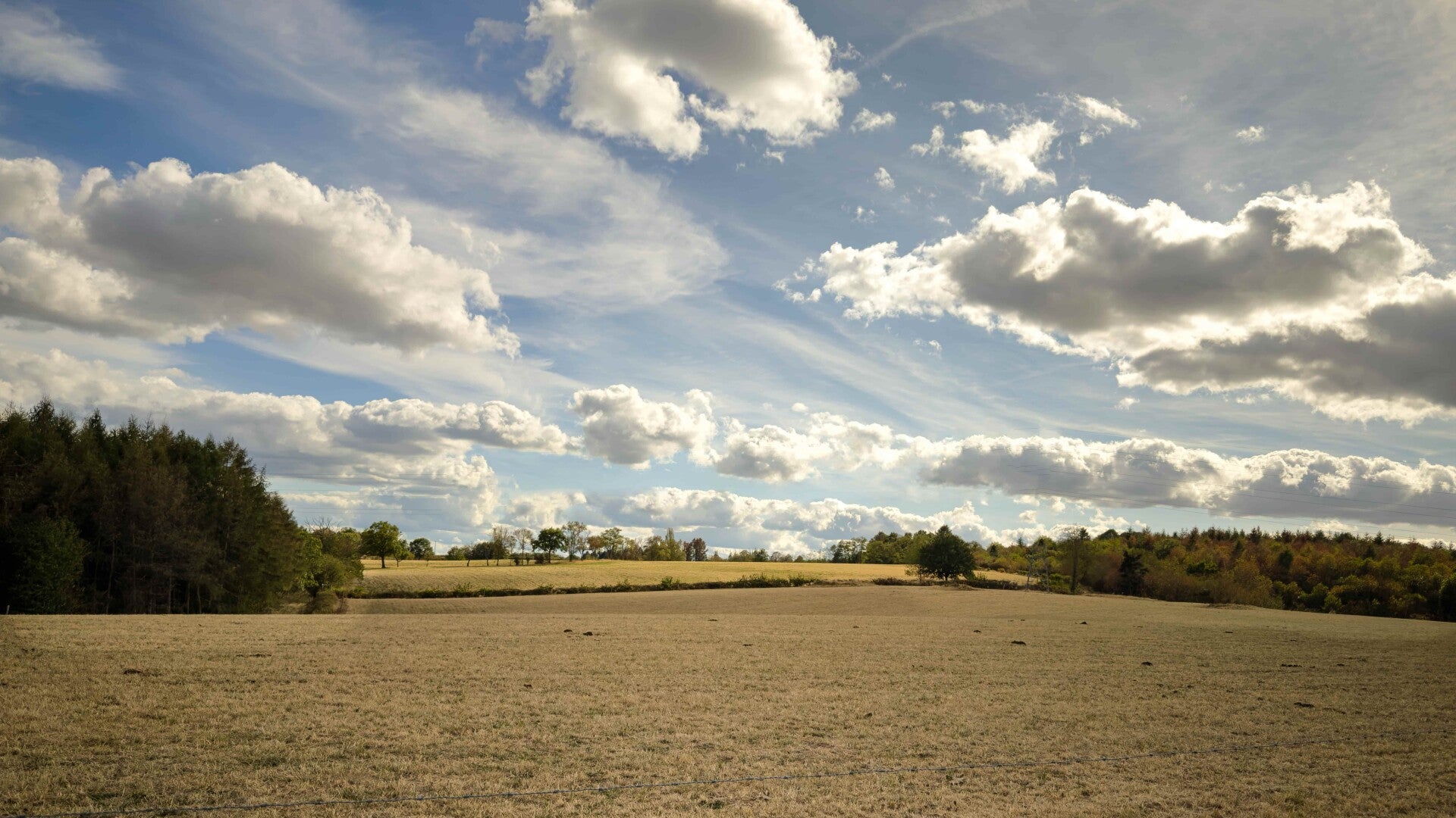 Omgeving La Tagnière
