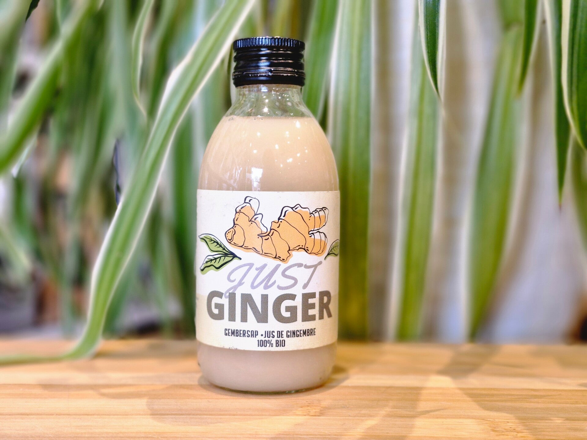 Just Ginger