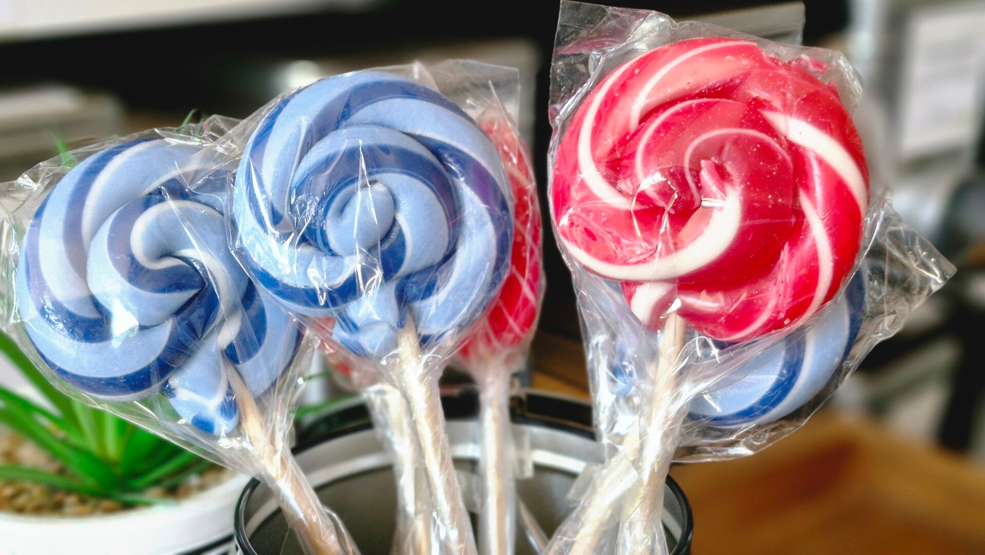 Loly's Bosbessen of Veenbessen