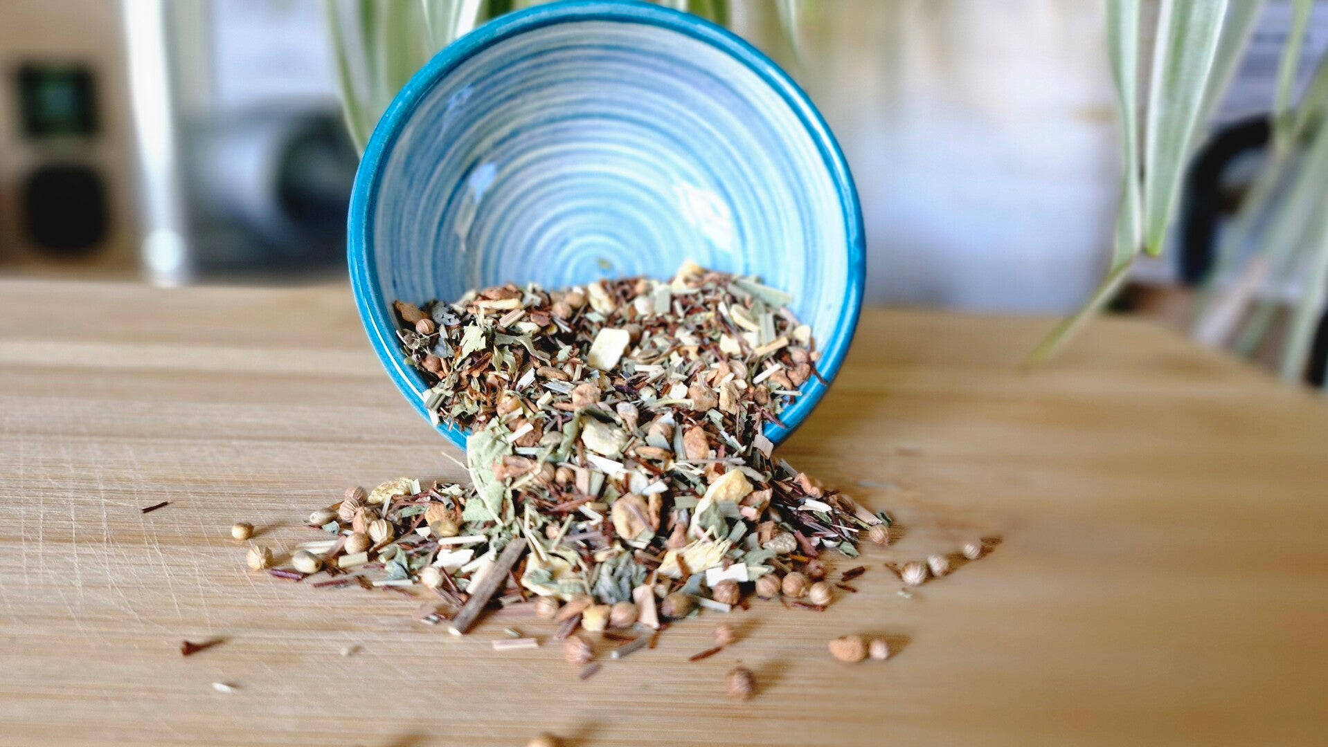 Rooibos - Immuni-Tea