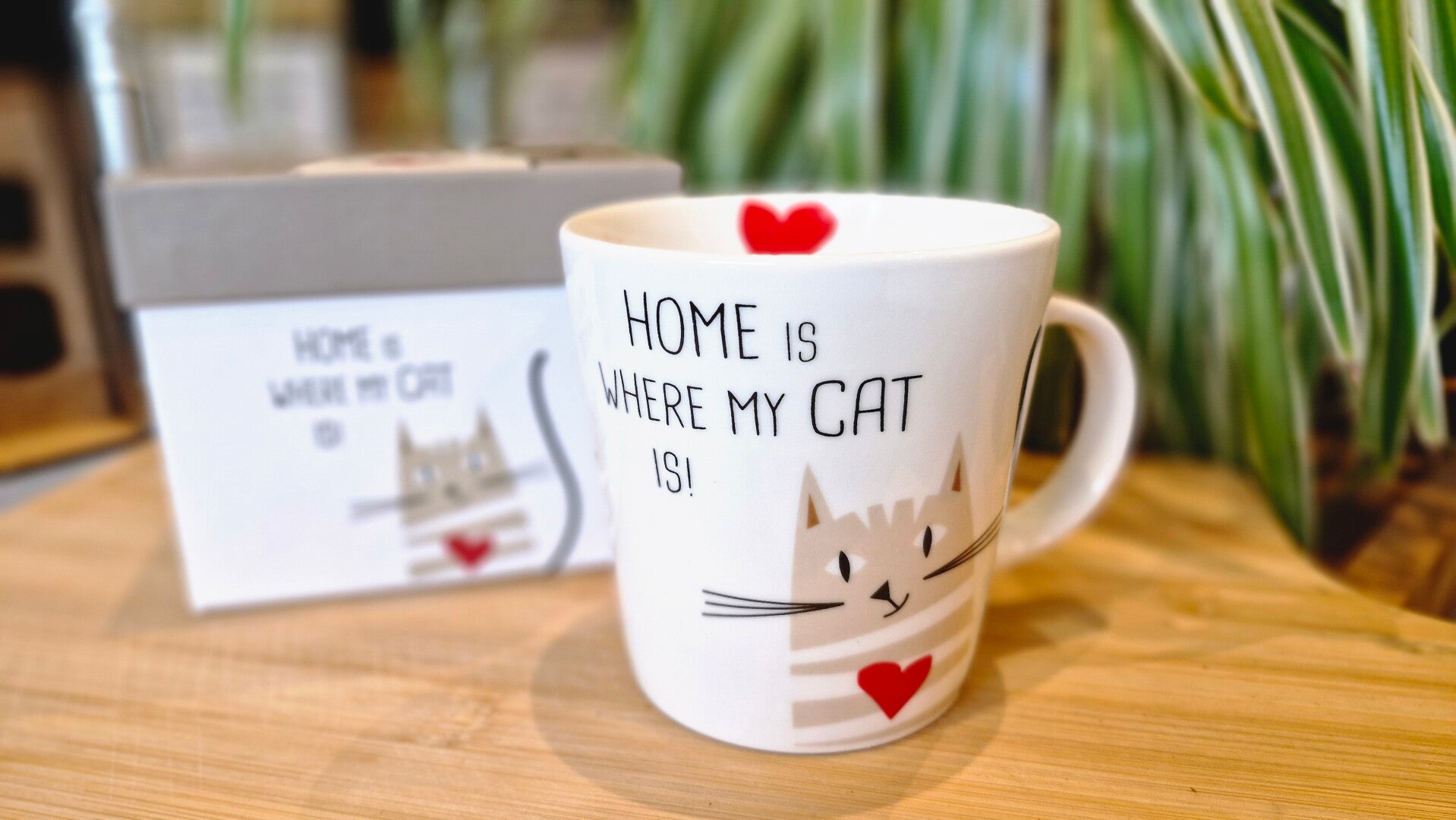 Mok 'Home is where my Cat is'