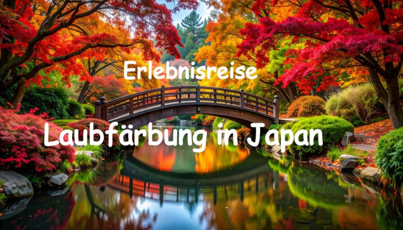 Laubfärbung Japan  | www.japan-tours.de