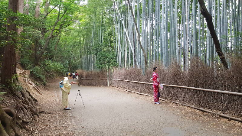 Japan mit deutscher Reiseleitung  | www.japan-tours.de
