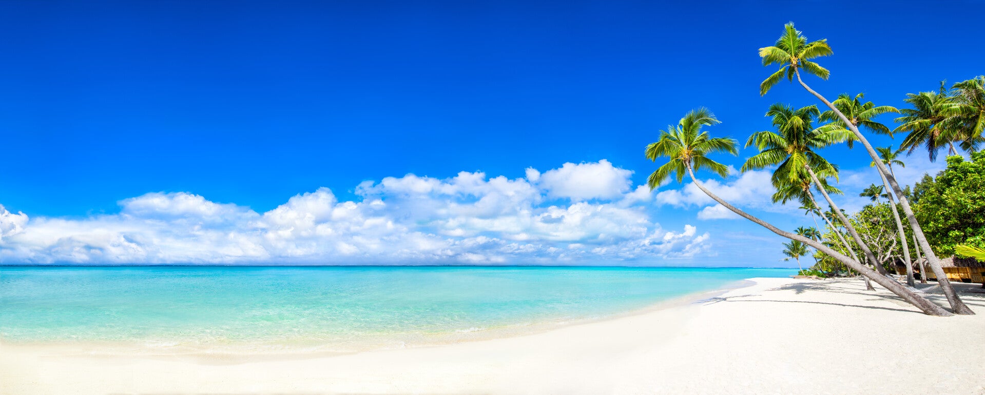 Kreuzfahrt-Schnäppchen  | www.atlantisreisen.com