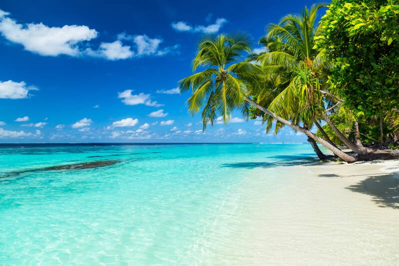 Karibikkreuzfahrt   | www.atlantisreisen.com