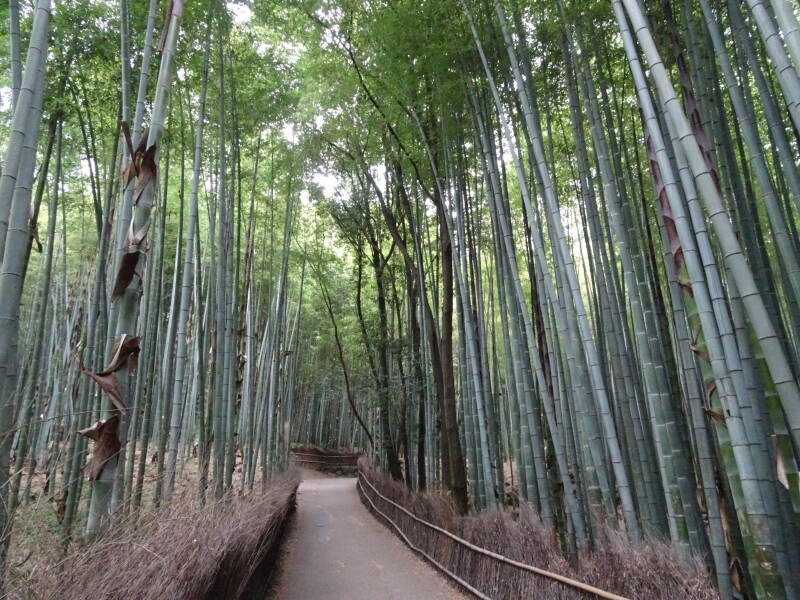 Japan-Gruppenreise Japan  | www.japan-tours.de