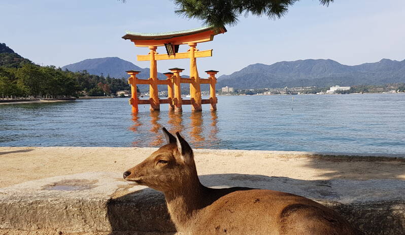 Japan-Reisen  | www.atlantis-kreuzfahrten.de