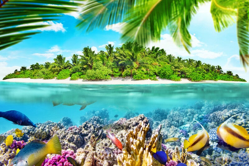 Karibikkrfeuzfahrt  | www.atlantisreisen.com