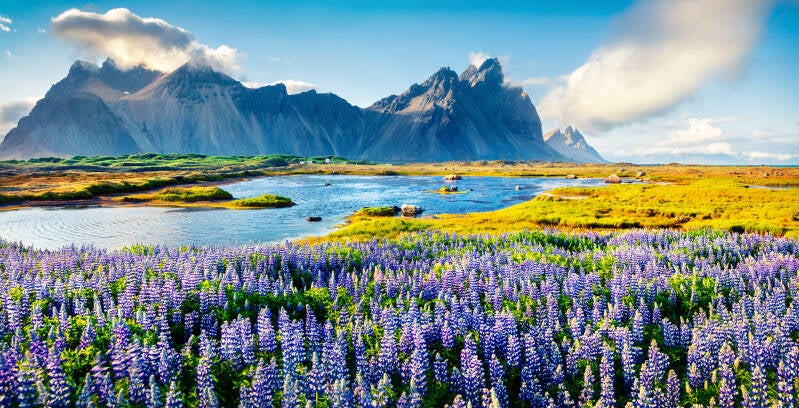 MSC LAST MINUTE NCL Norwegian Cruise Line   | wwwatlantisreisen.com