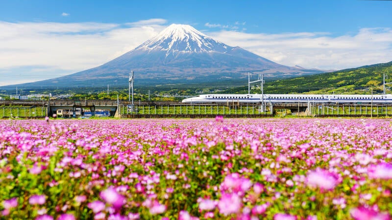 Japan-Reisen  | www.japan-tours.de