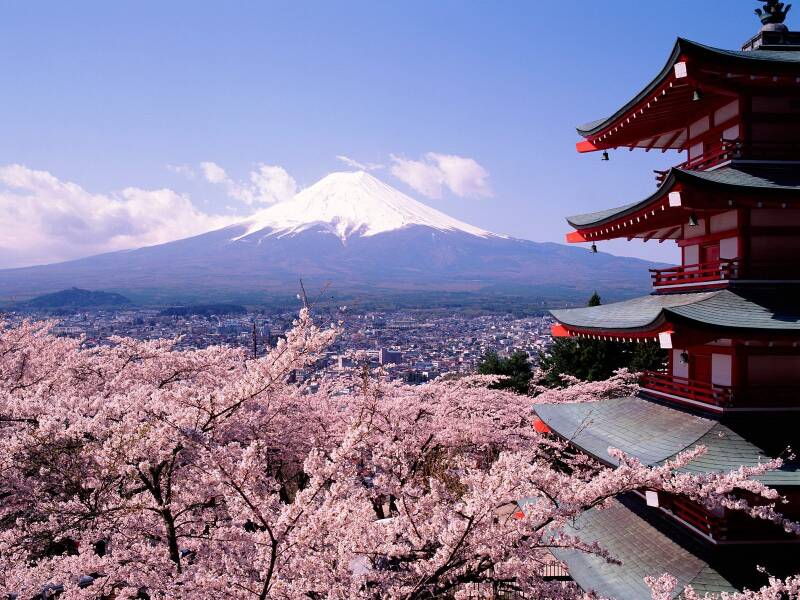 Japan Gruppenreise Kirschblüte | www.japan-tours.de
