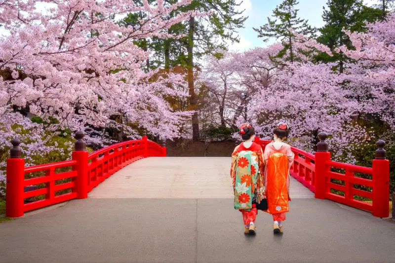 Kirschblüte Japan  | www.japan-traumreisen.de