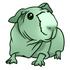Bommel &amp; Co Skinny Pig Meerschweinchen