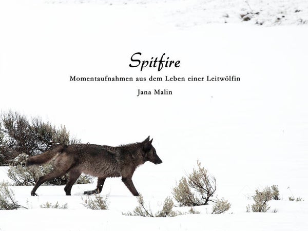 Buch: Spitfire