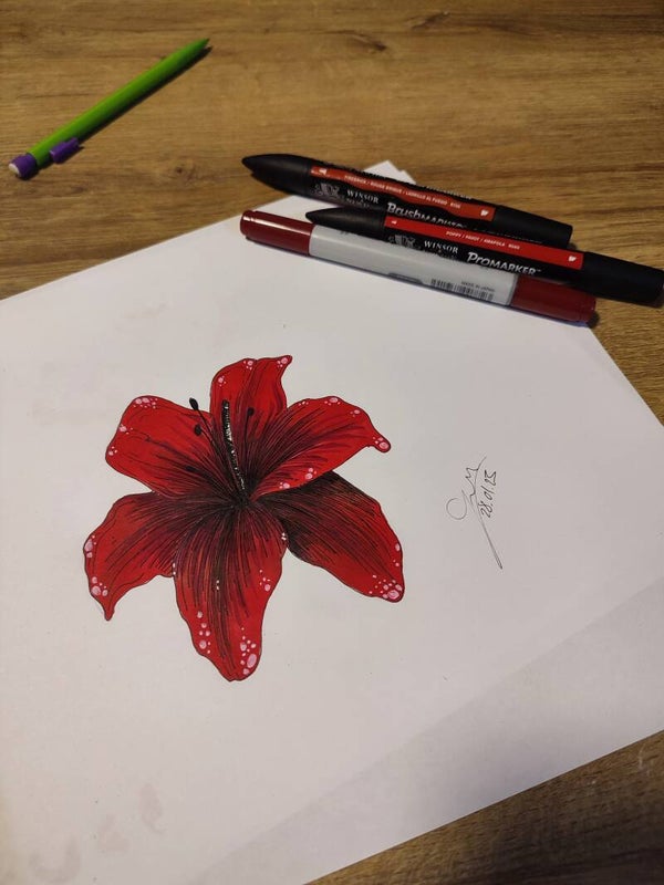 Dessin flash