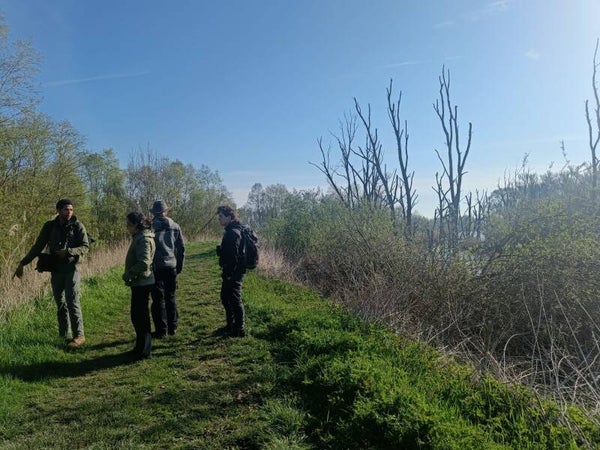 Vogelexcursie in de Biesbosch