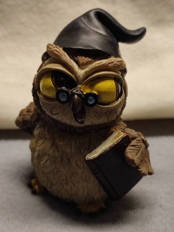 Lustige Eulen "Zauberer"