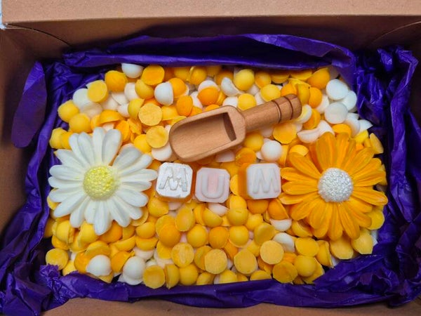 Scoopies box