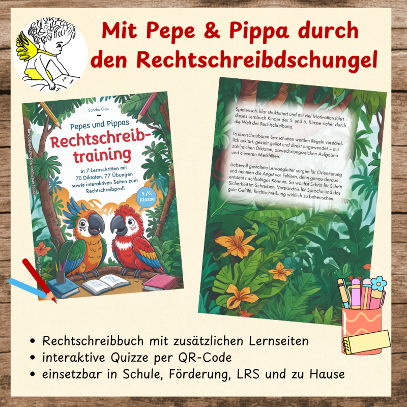 Pepes und Pippas Rechtschreibtraining für die 5. und 6. Klasse – Überblick über das Lernkonzept