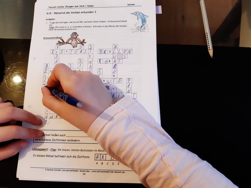 Online Nachhilfe, Online Nachhilfelehrer, Online-Nachhilfelehrer, Nachhilfe in Grasberg, Nachhilfe Deutsch, Rechtschreibkurs