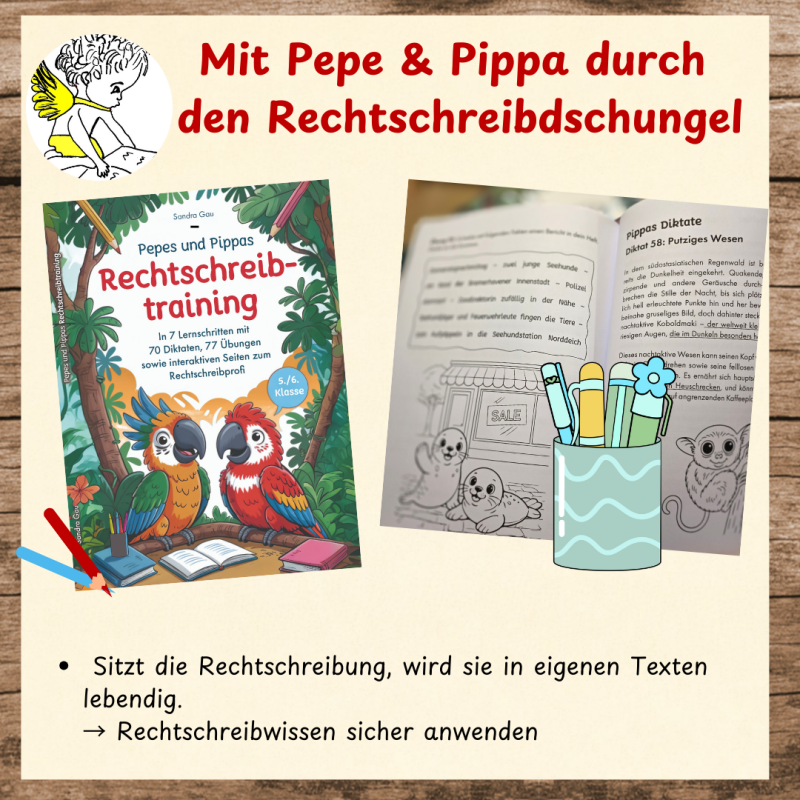 Rechtschreibung anwenden lernen mit strukturierten Übungen im Trainingsbuch
