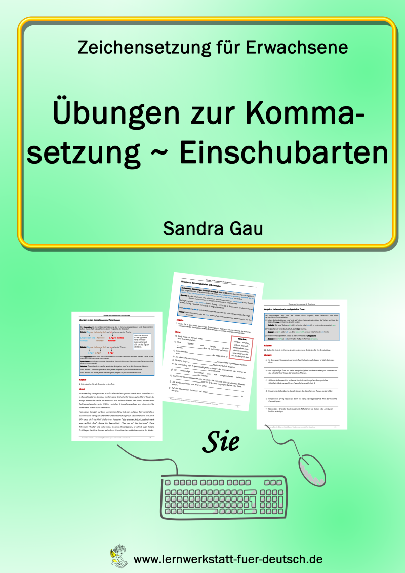 Lernmaterial für Erwachsene zu den Einschüben im Satz, Satzglieder Einschübe, Appositionen, Parenthesen, Nebensätze Einschub, Relativsatz Einschub, Ellipsen Einschübe, Einschubzeichen Kommas, Zusätze im Satz, Lernmaterial Einschübe im Satz