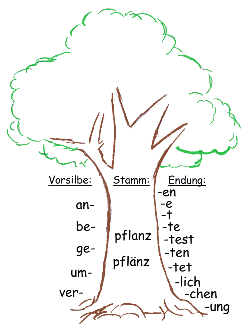 Wortstamm pflanz pflänz Übungen, Wortstamm ableiten Übungen, Wortstamm Konzept Einführung, Wortstamm Lernkarten, Wortstamm Sortieren Übungen, Deutschförderung Wortstämme, Grundschule Wortstämme Lernmaterial, Fördermaterial Wortstamm Verben, LRS-Förderung 