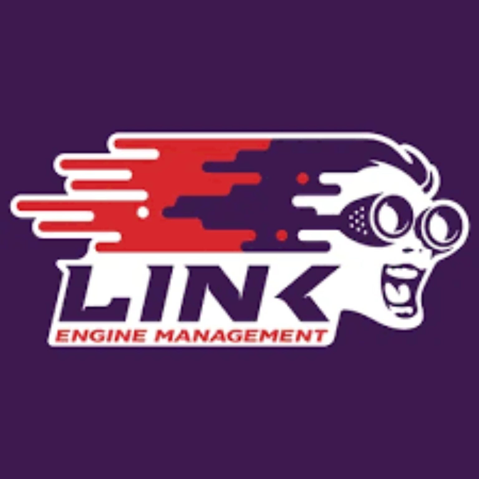 Link logo