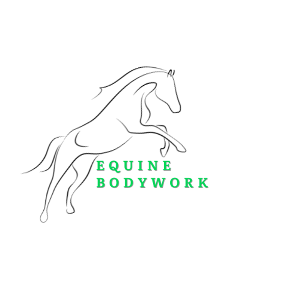 Equine Bodywork