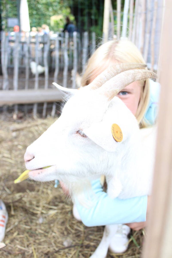 Lief kamp - 8 tot 12 jaar - 12 tot 15 juli