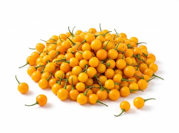 Pimiento Charapita Fresco - El Caviar de los Ajíes - El Ají Más Caro del Mundo