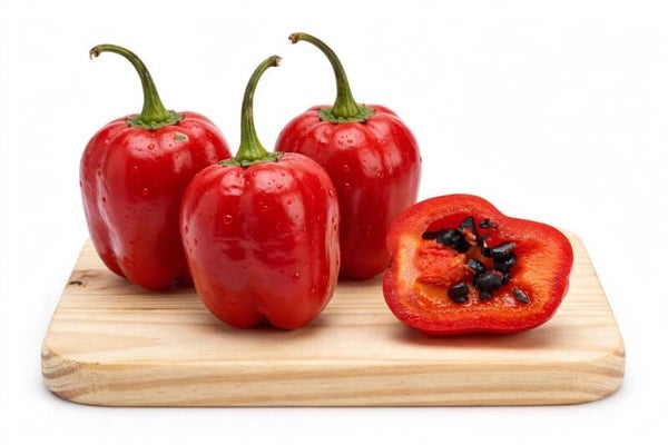 Rocoto Fresco PREMIUM - El Ají Más Exclusivo de España - Solo 60kg al Año