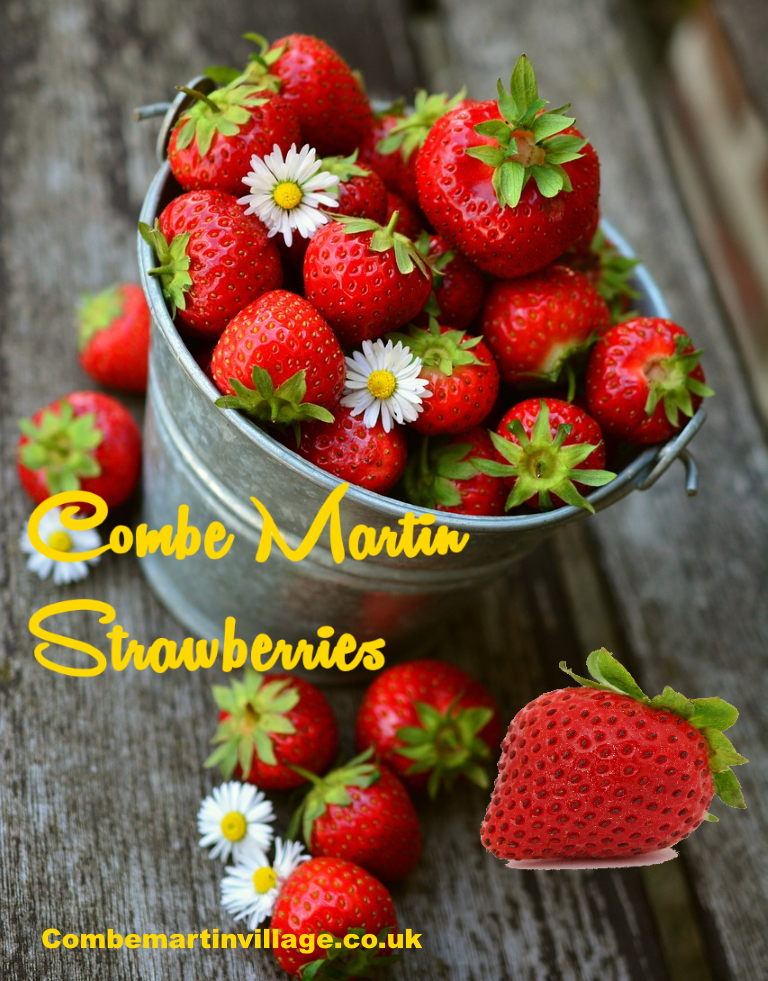 A Photograph of Combe Martin Strawberries by Combemartinvillage.co.uk