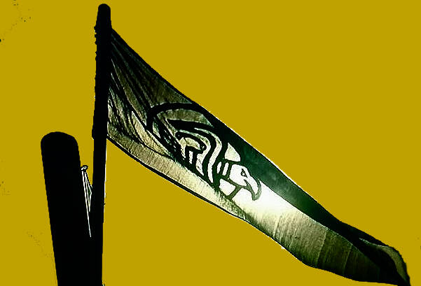 Hubba's Raven War-Flag captured at Cynwit in 878 AD
