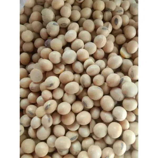 Kacang Kedelai Utuh 500g