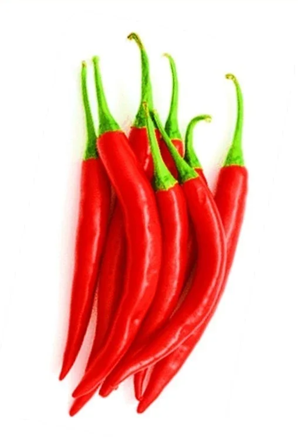 M056 :  Benih Cabai Merah Besar