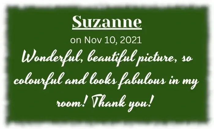 Feedback from customer Suzanne.
