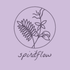 Spiritflow.nl