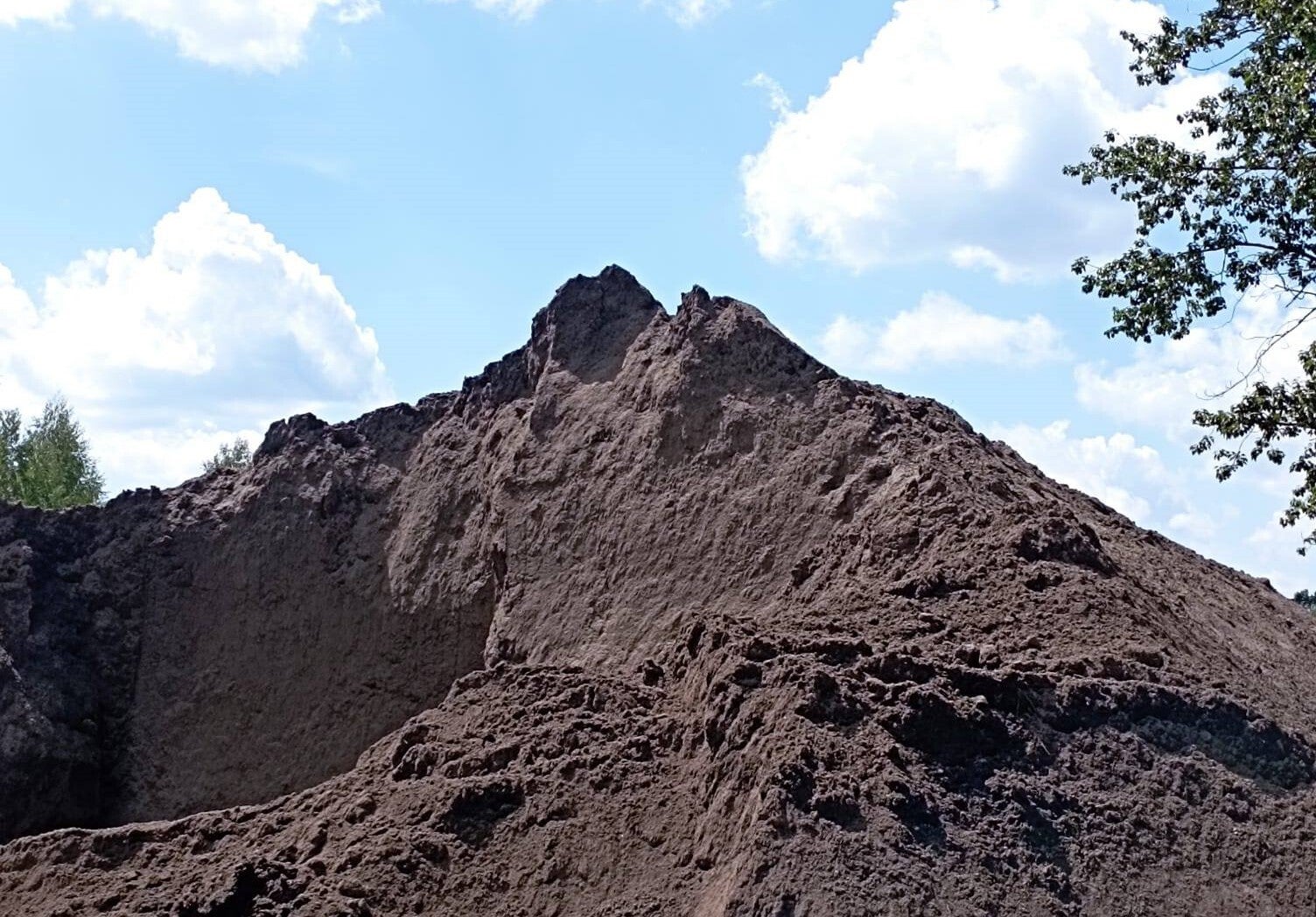 CZARNOZIEM