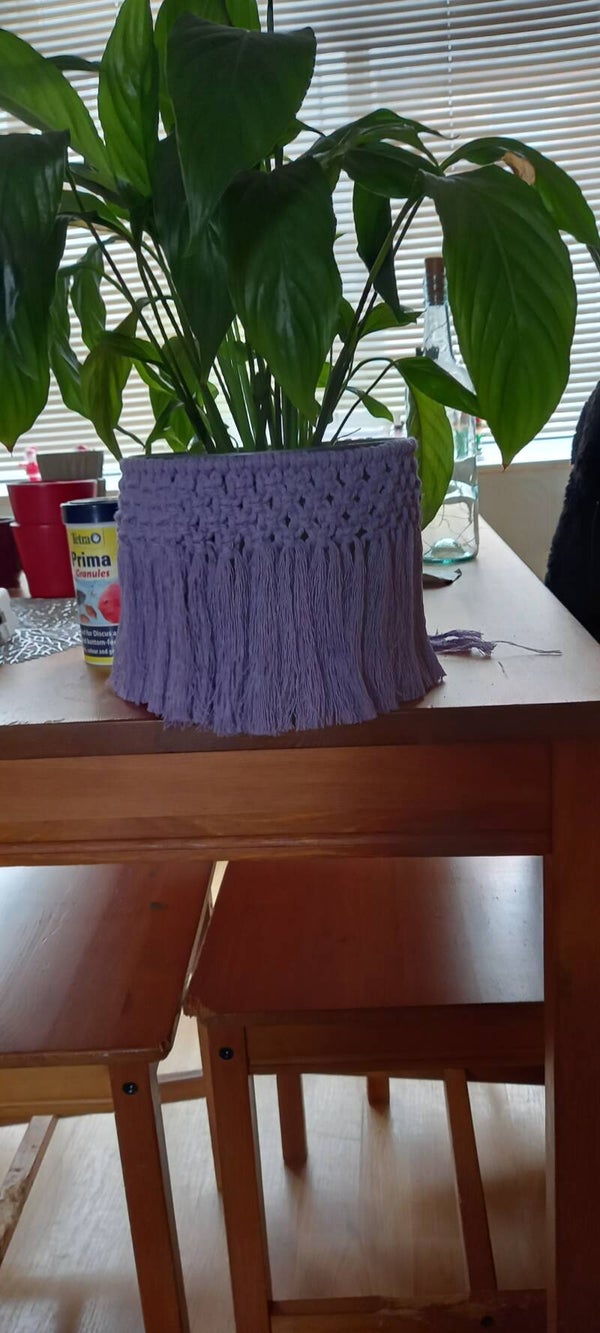 Frilled planter