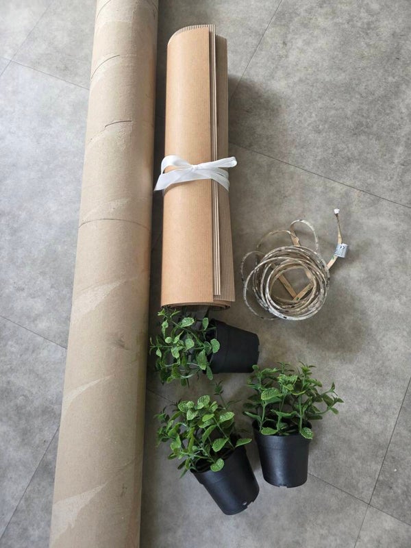 Plant & Light Decor