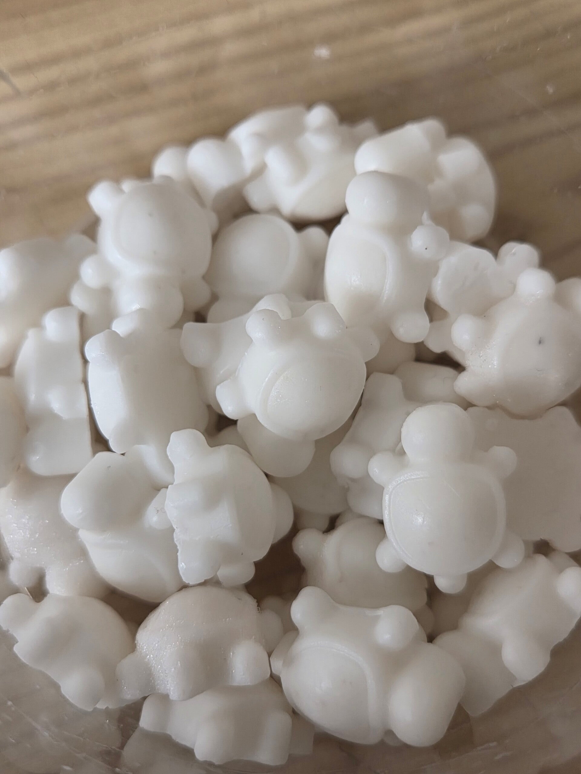 Mini Bubblegum  turtles