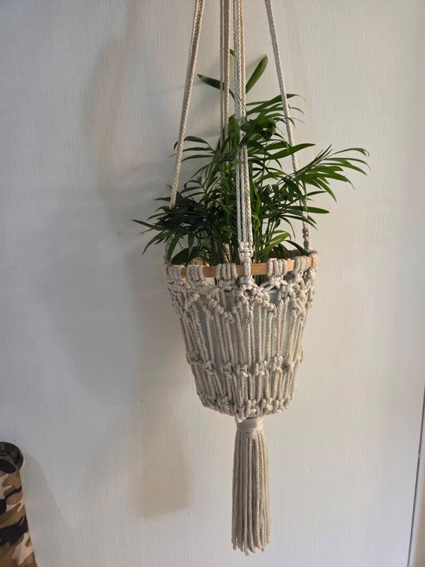 Plant Holder ( 3 )