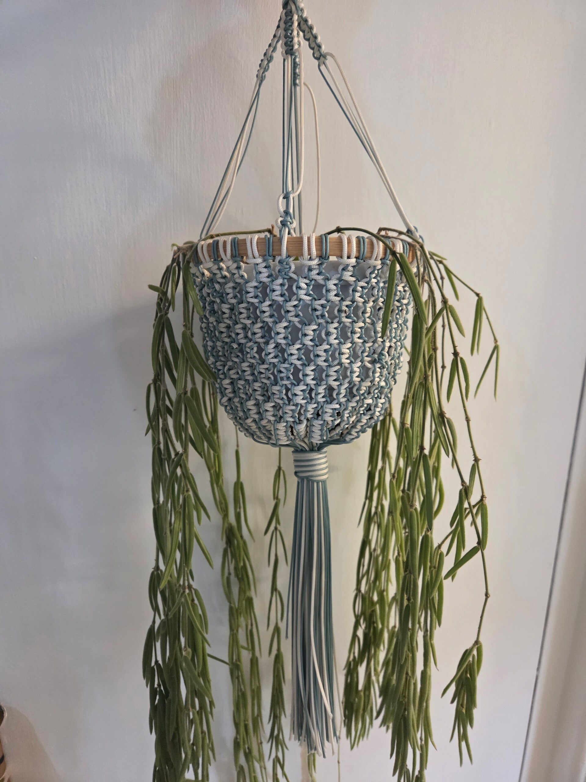 Plant Holder ( 4 )