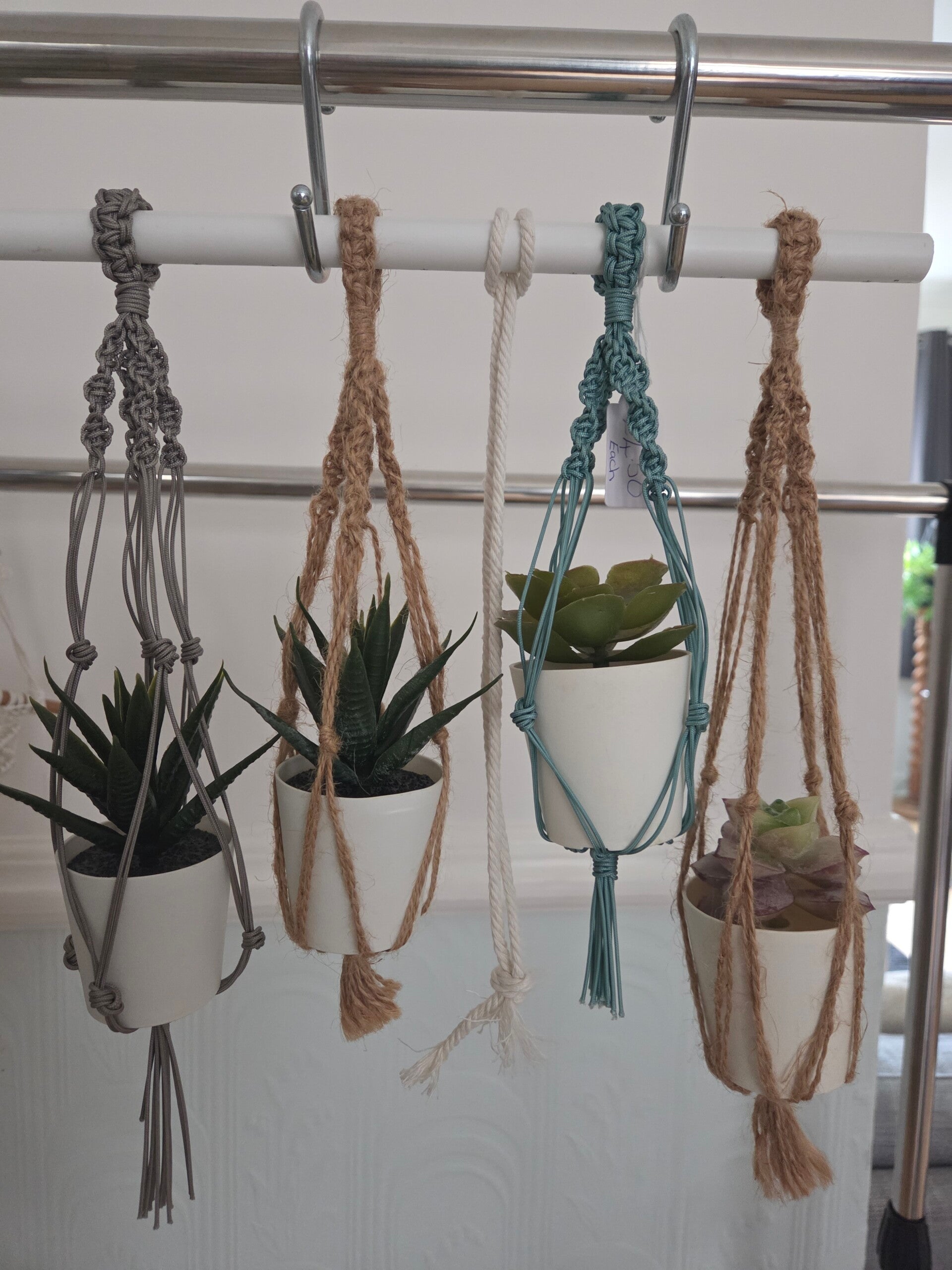 x1 Mini Plant Holder & Plant