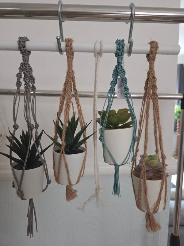 x1 Mini Plant Holder & Plant