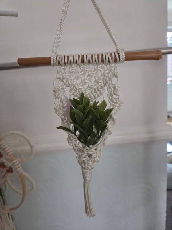 Air Plant Holder ( 5 )