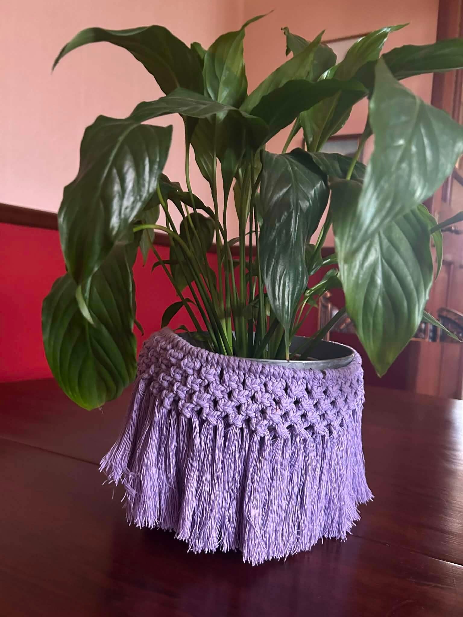 Plant Holder ( 7 )