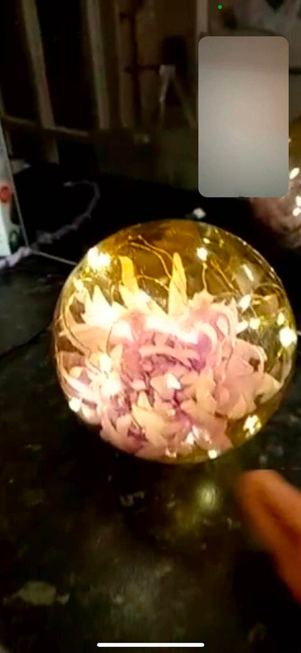 Light up Flower Ball