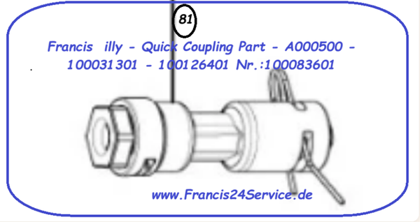 Francis  illy Fits Y1.1- Quick  Coupling Part - A000500 - 100031301 - 100126401